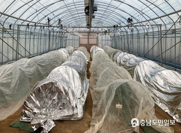 알루미늄증착필름 외부