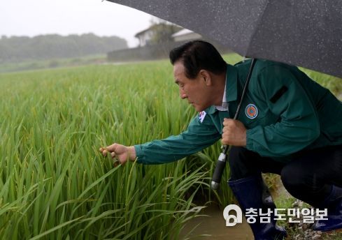 태풍 취약지 현장 시찰에 나선 백성현 시장