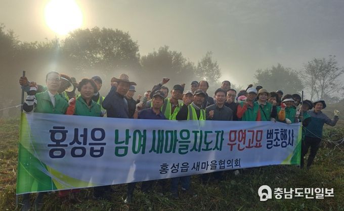 홍성군, 추석맞이 무연분묘 벌초 실시