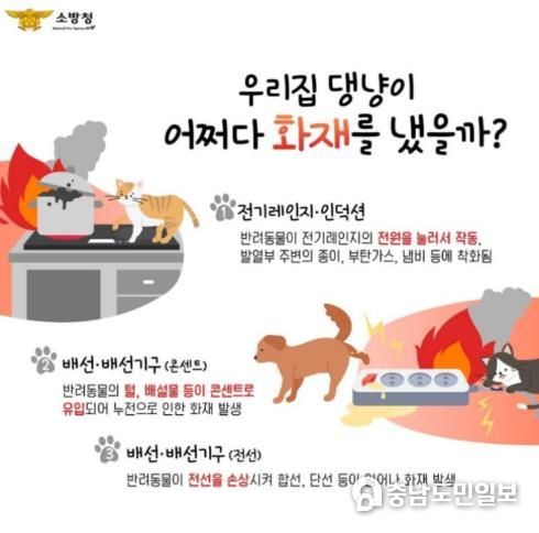 천안서북소방서, 반려동물에 의한 전기레인지 화재예방 당부
